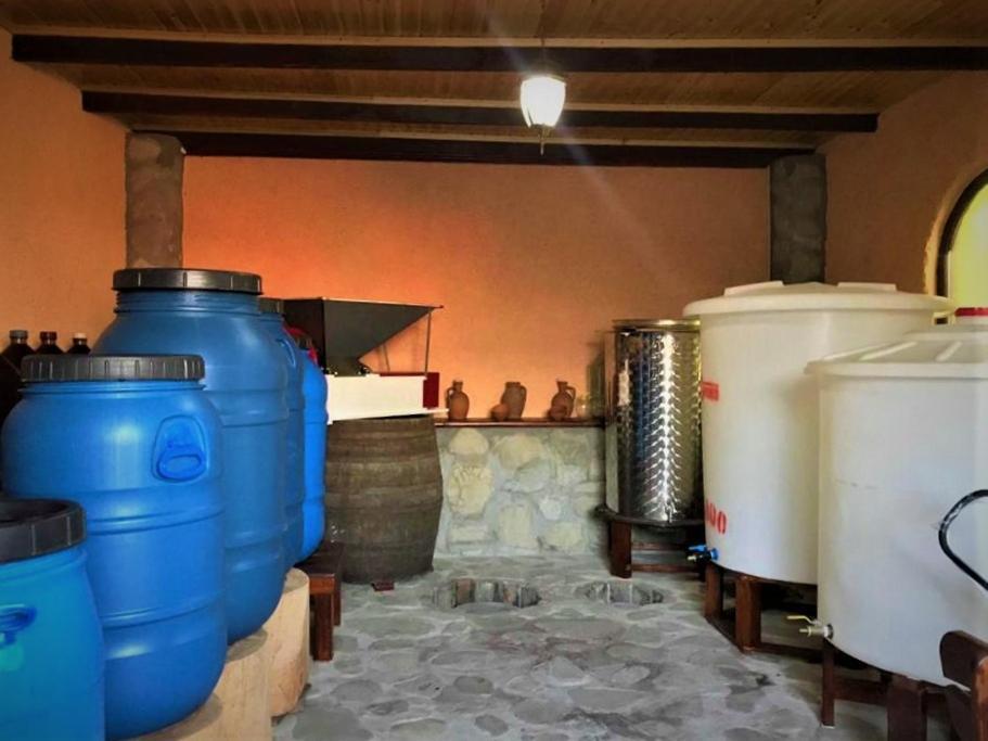 Guesthouse Lilia &Wine Celler เทลาวี ภายนอก รูปภาพ